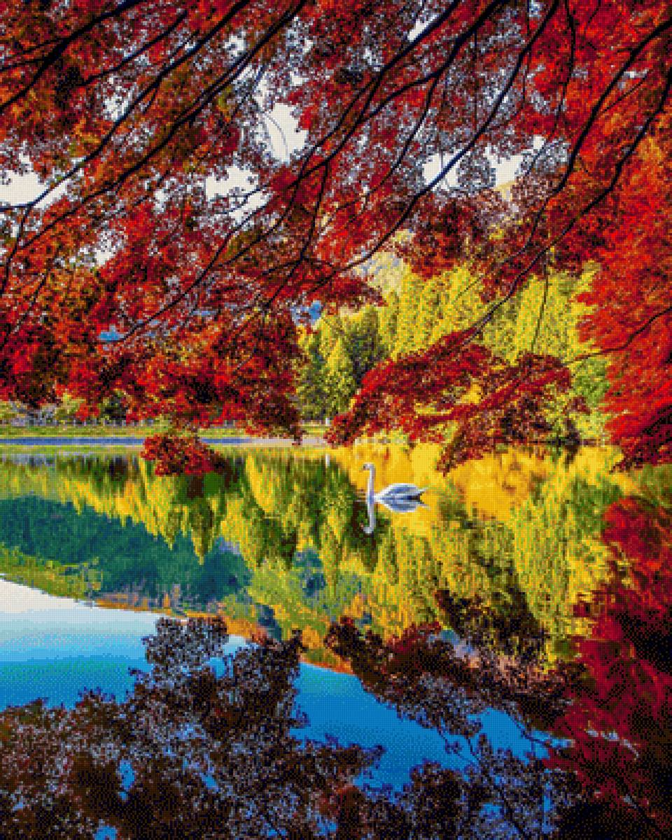 Отражение - лебедь, пейзаж, озеро, природа, осень, лес - предпросмотр
