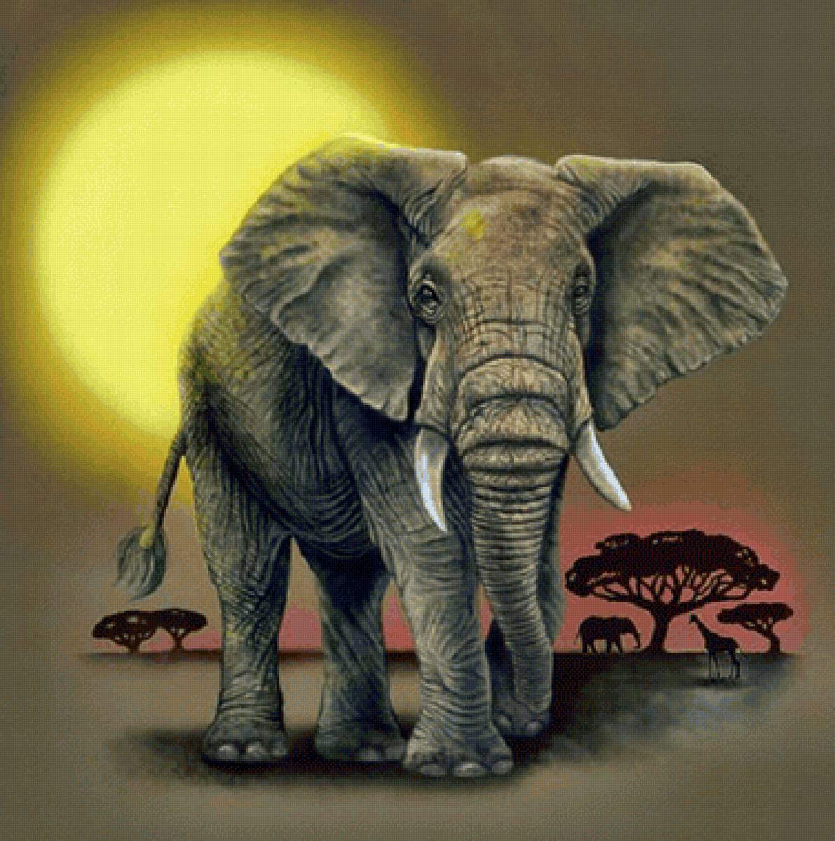 Elefante. - animais. - предпросмотр