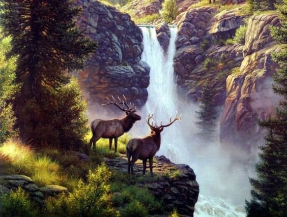 Олени - водопад, олени, лес, животные - оригинал