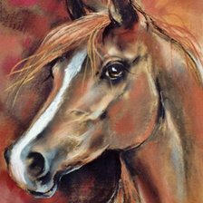 Схема вышивки «Cavalo.»