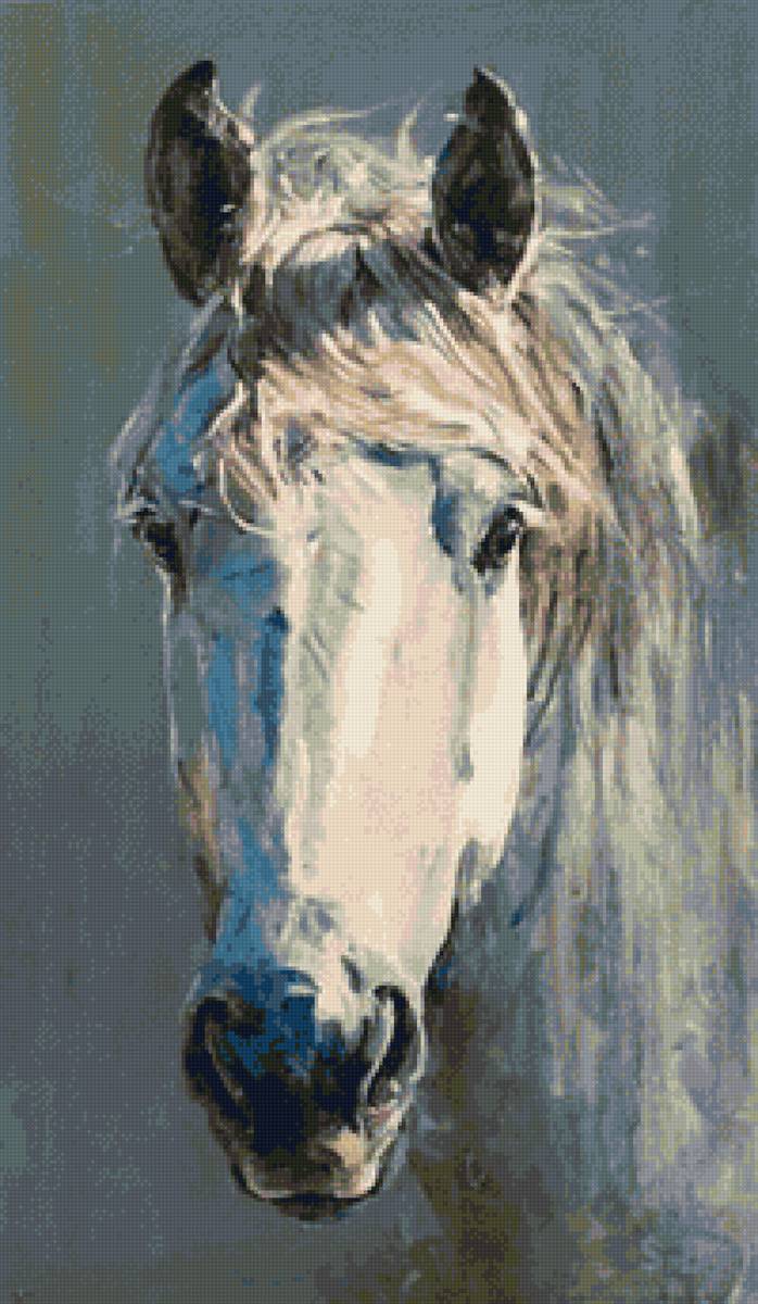 Белая лошадь - животные, портрет, лошадь - предпросмотр