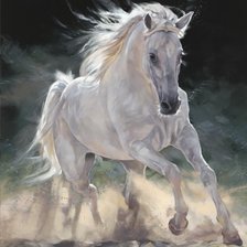 Схема вышивки «Cavalo.»