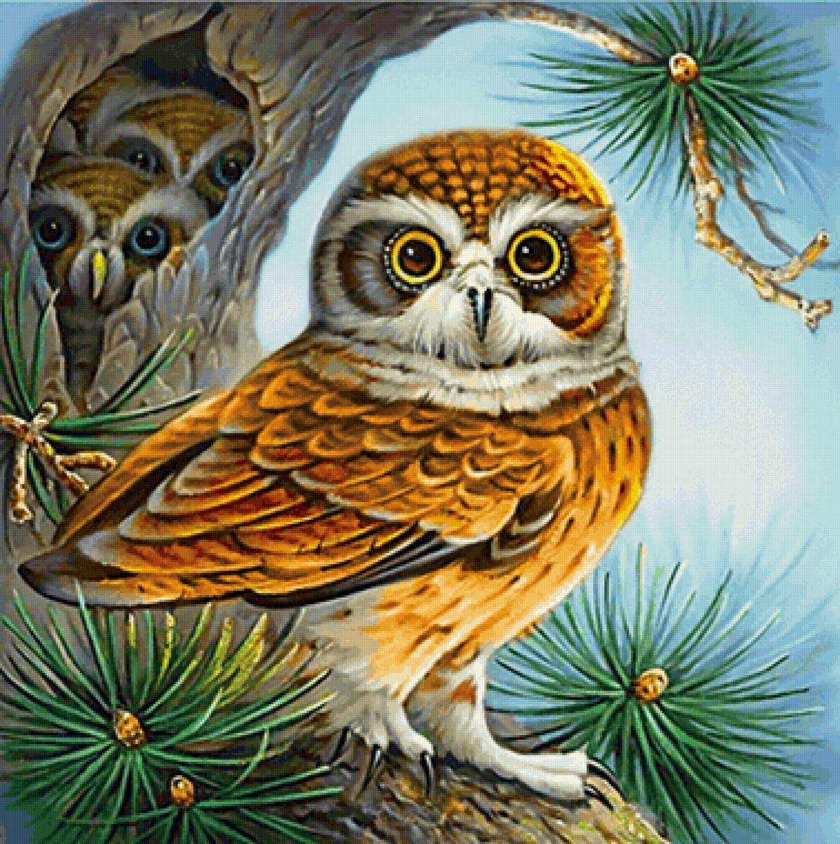 Coruja com filhotes. - pássaro - предпросмотр