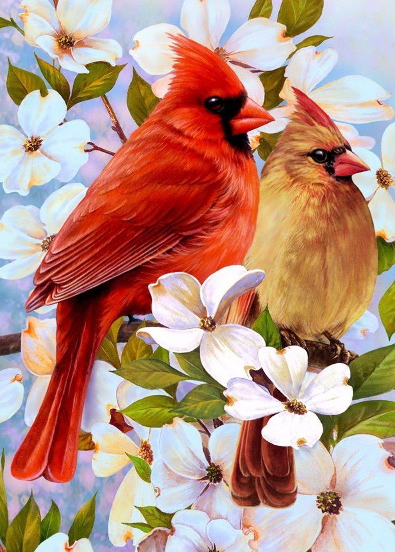 Птичка - птица, природа, весна - оригинал