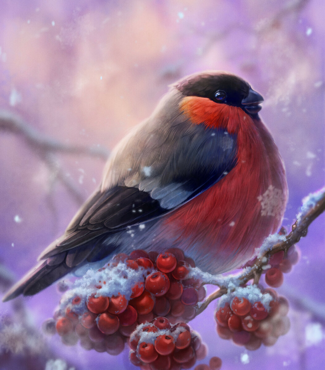 Снегирь - зима, птица, природа - оригинал