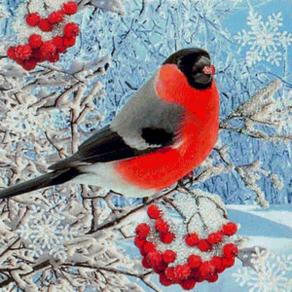 Снегирь - природа, птица, зима - предпросмотр