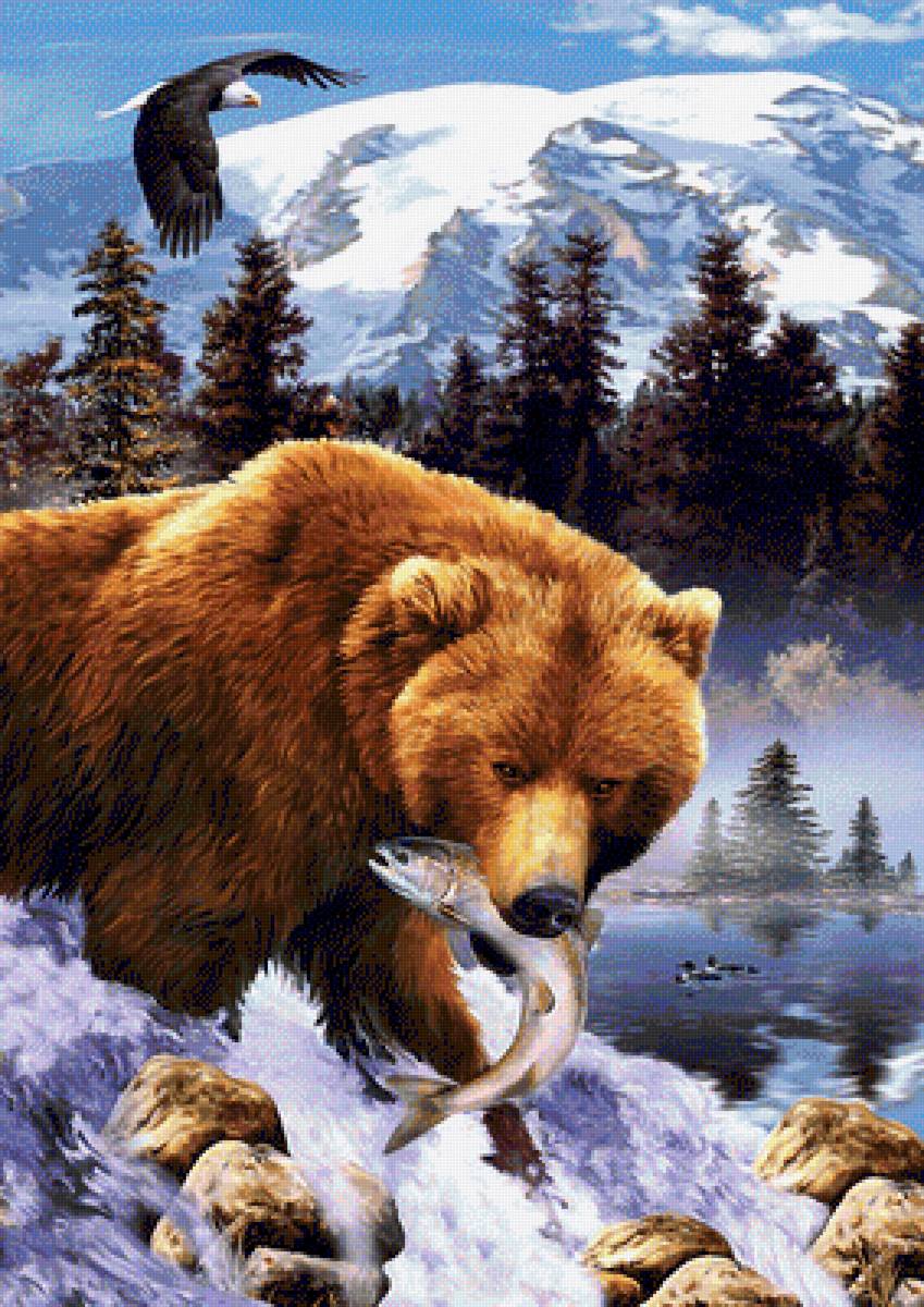 Медведь - природа, медведь, животные - предпросмотр