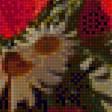 Предпросмотр схемы вышивки «Натюрморт» (№2220560)