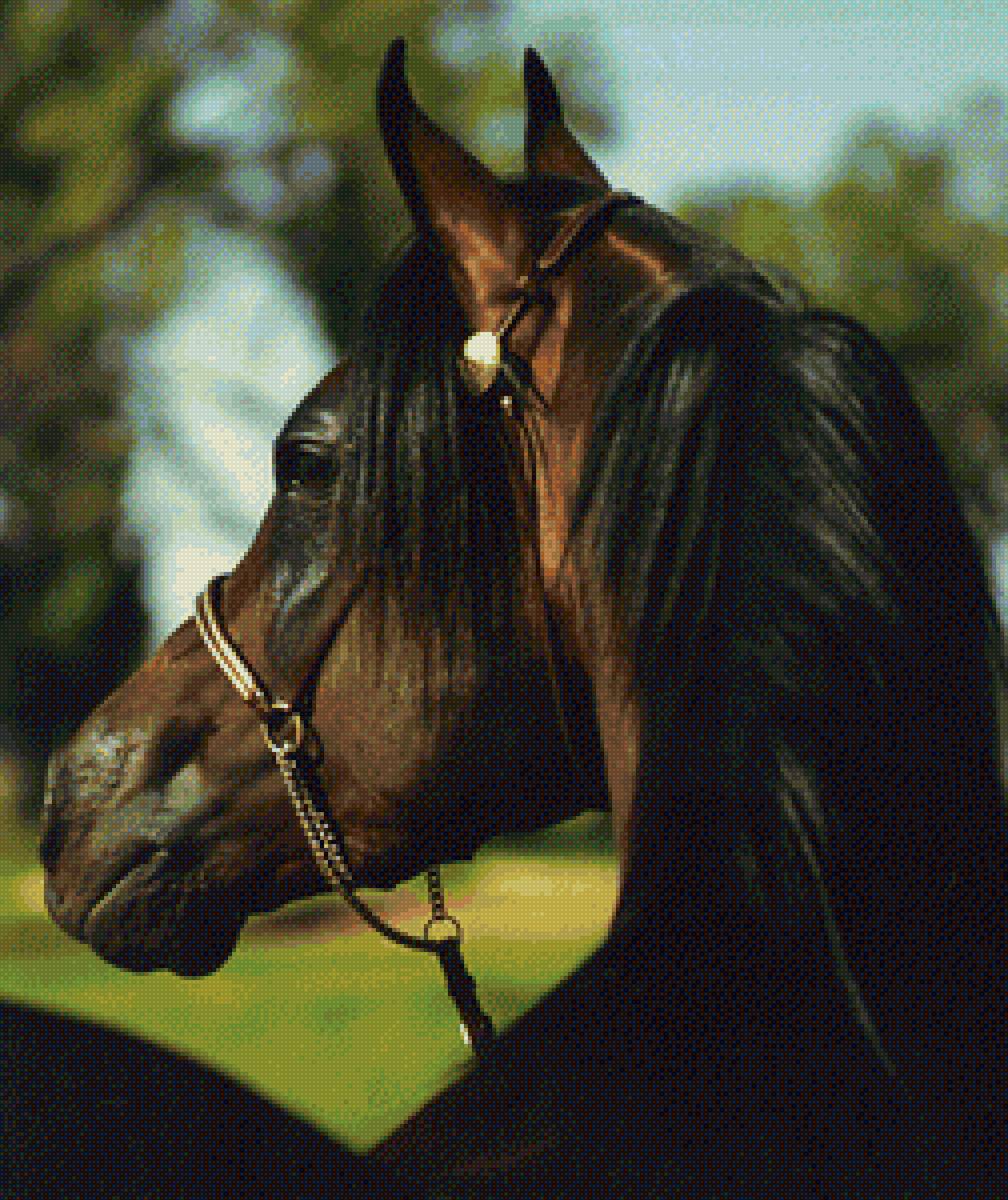 Черногривый - конь, уздечка - предпросмотр