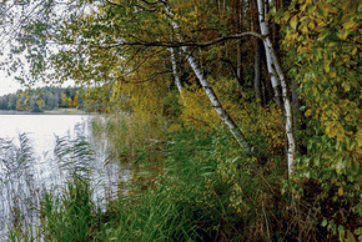 Лесное озеро - предпросмотр