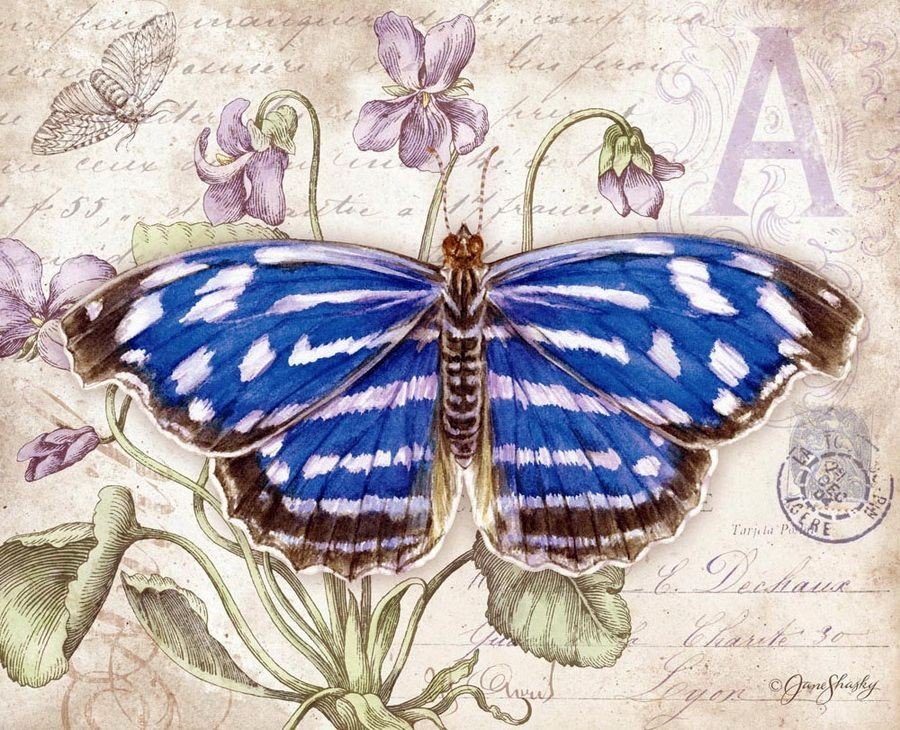 Бабочка - природа, иллюстрация, бабочка - оригинал