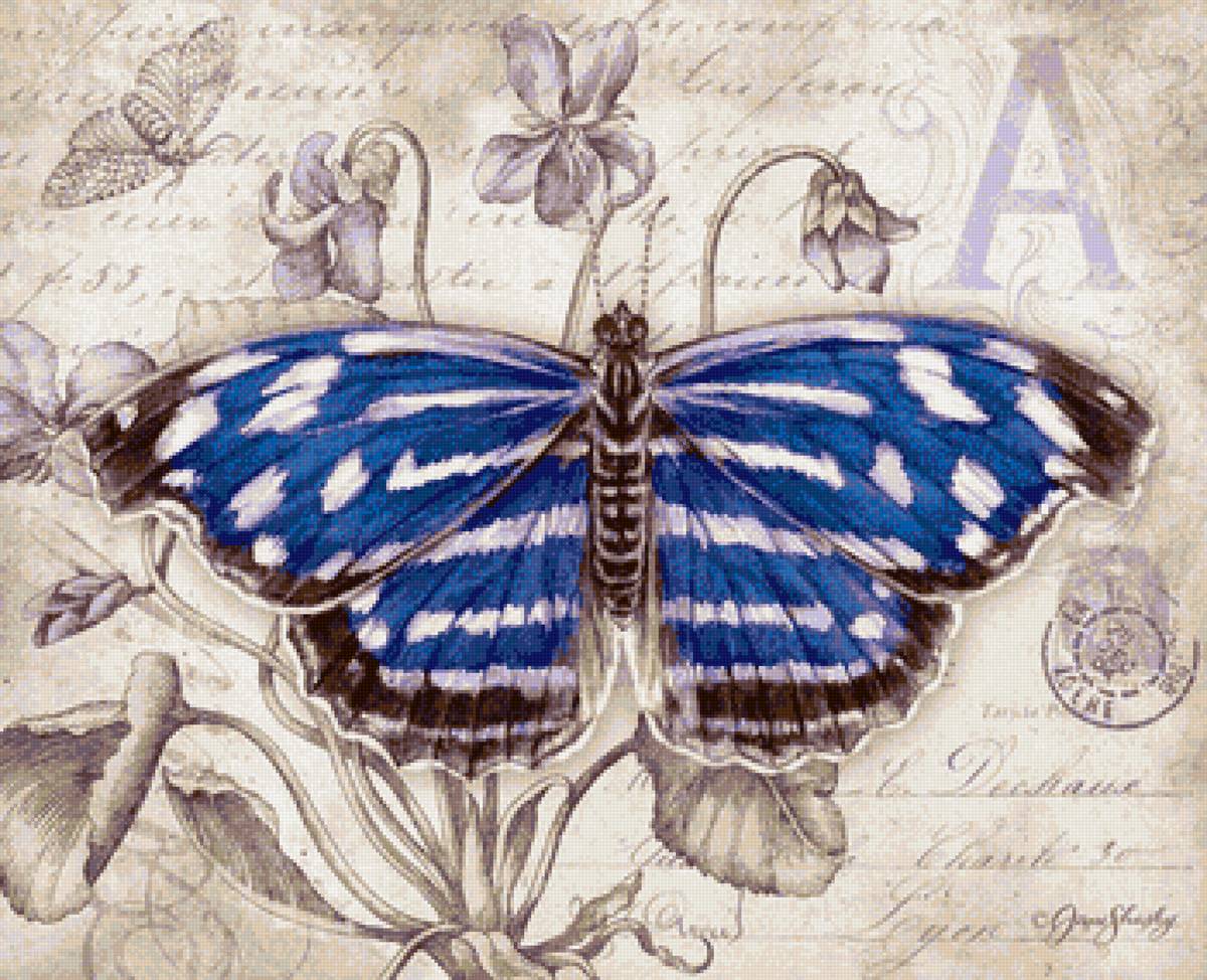 Бабочка - иллюстрация, бабочка, природа - предпросмотр