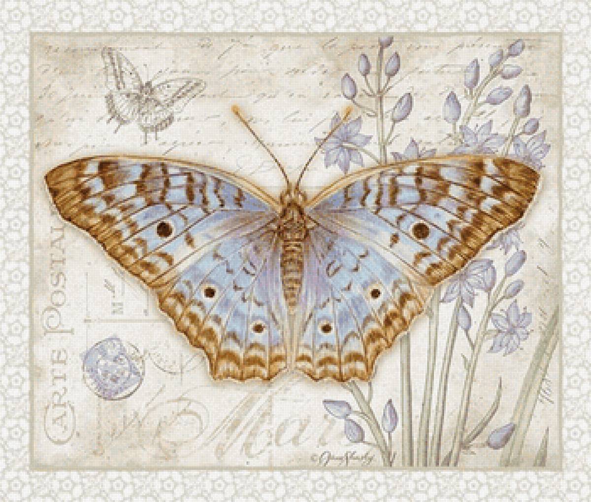 Бабочка - иллюстрация, бабочка, природа, открытка - предпросмотр