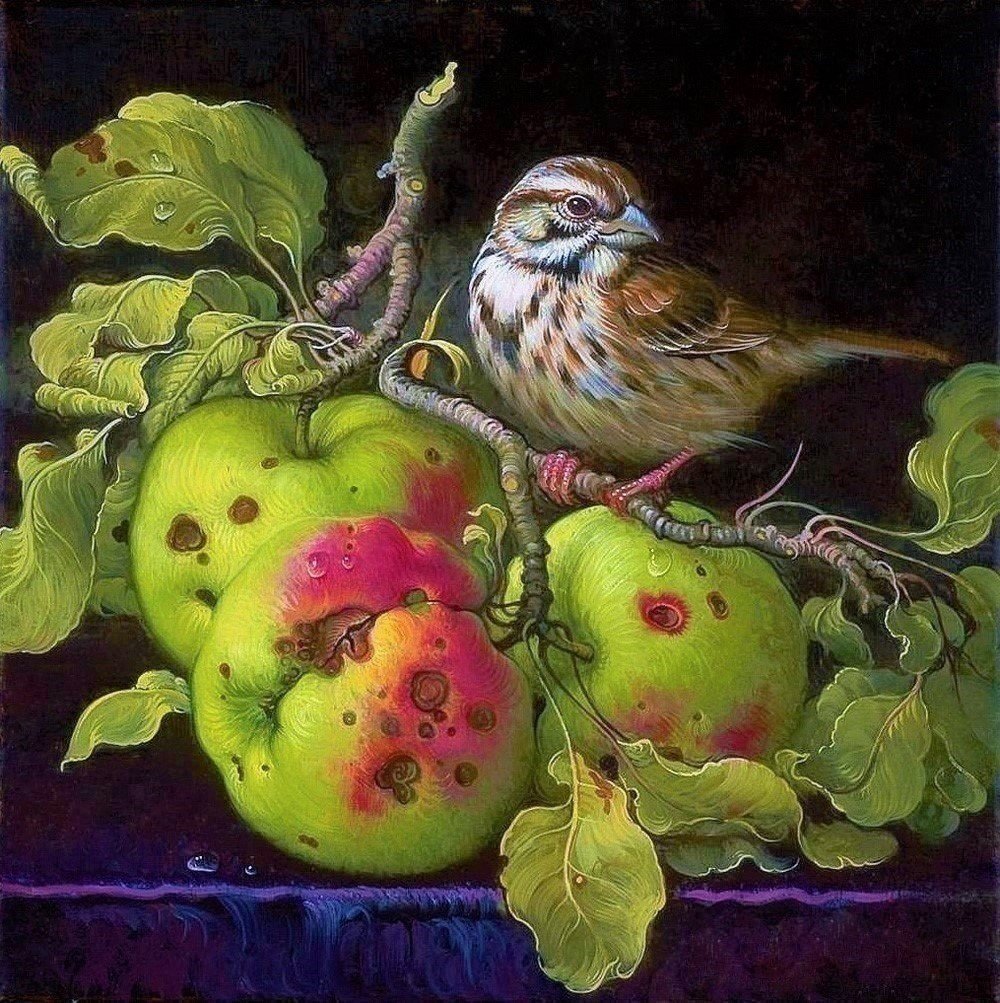 Птичка на ветке - яблоки, ветка, живопись, птица - оригинал