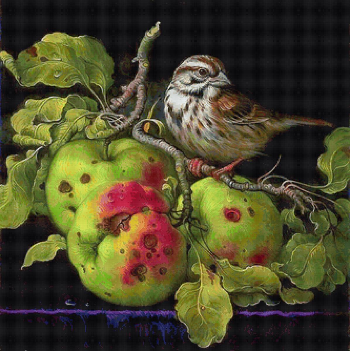 Птичка на ветке - ветка, птица, живопись, яблоки - предпросмотр