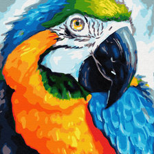 Схема вышивки «попугай ара»