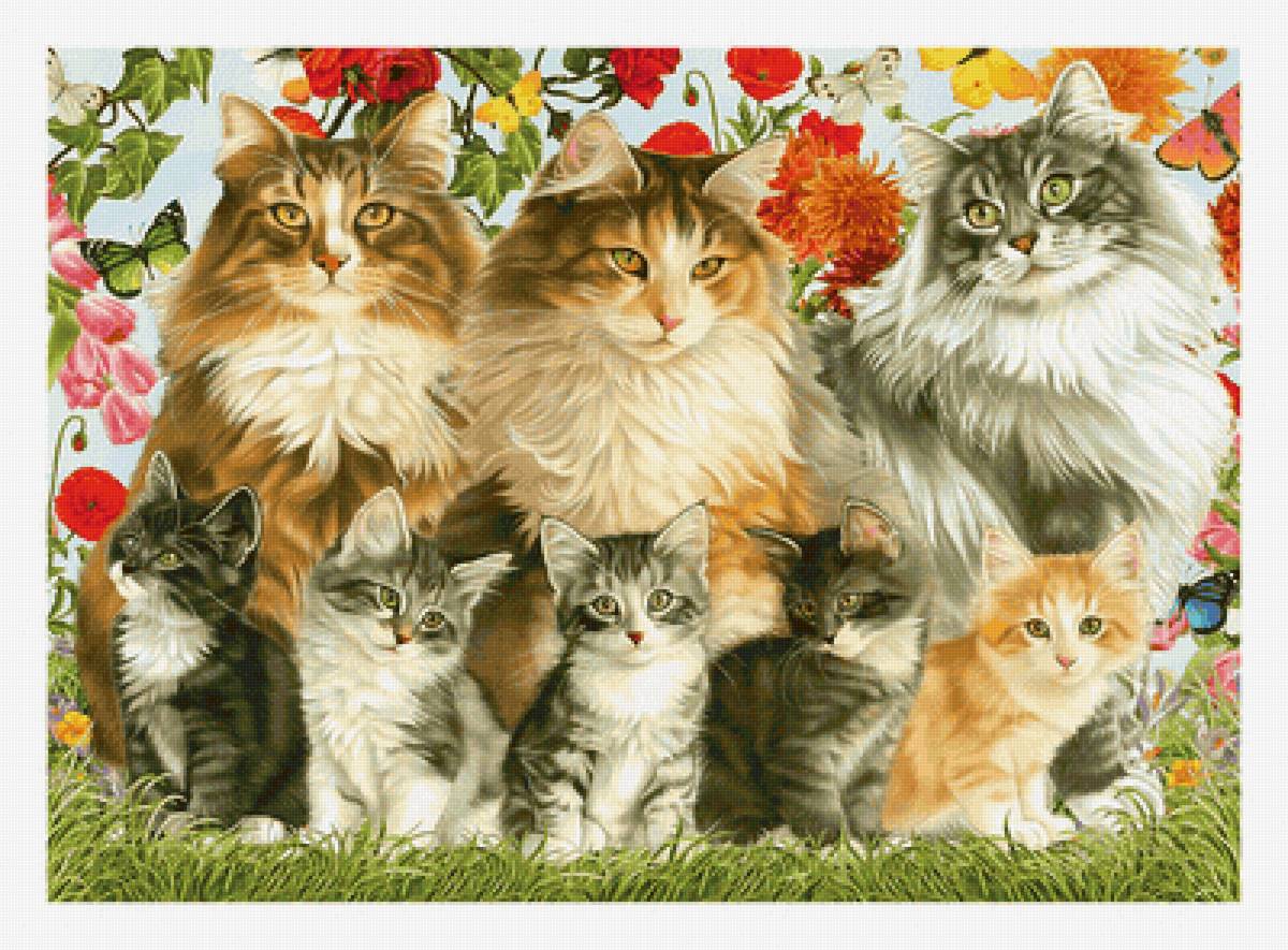 Серия "Коты". - коты, животные - предпросмотр