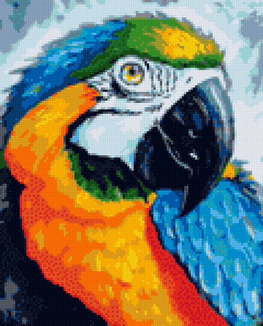 попугайская голова - птица - предпросмотр