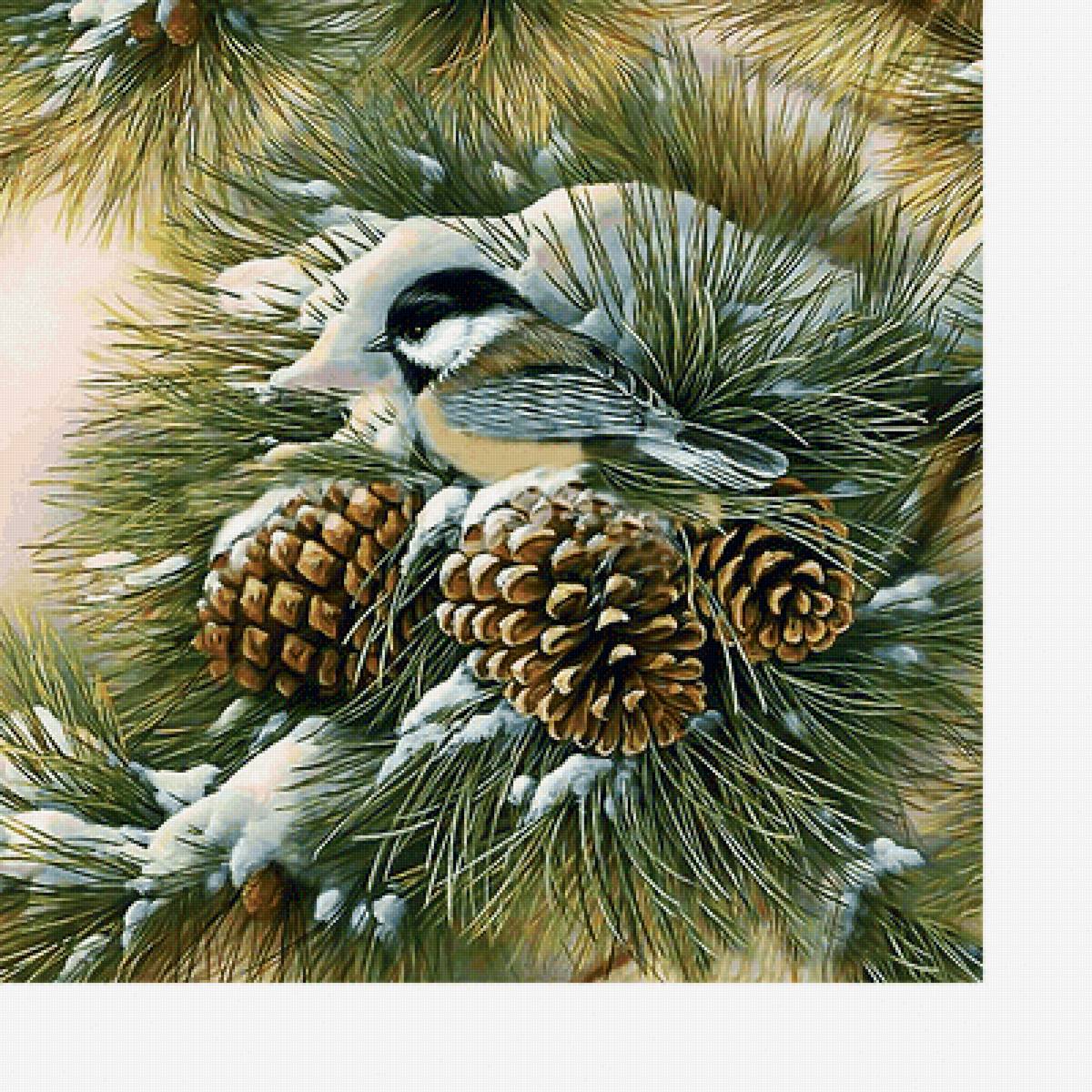 Серия "Птицы" - птицы, фауна - предпросмотр