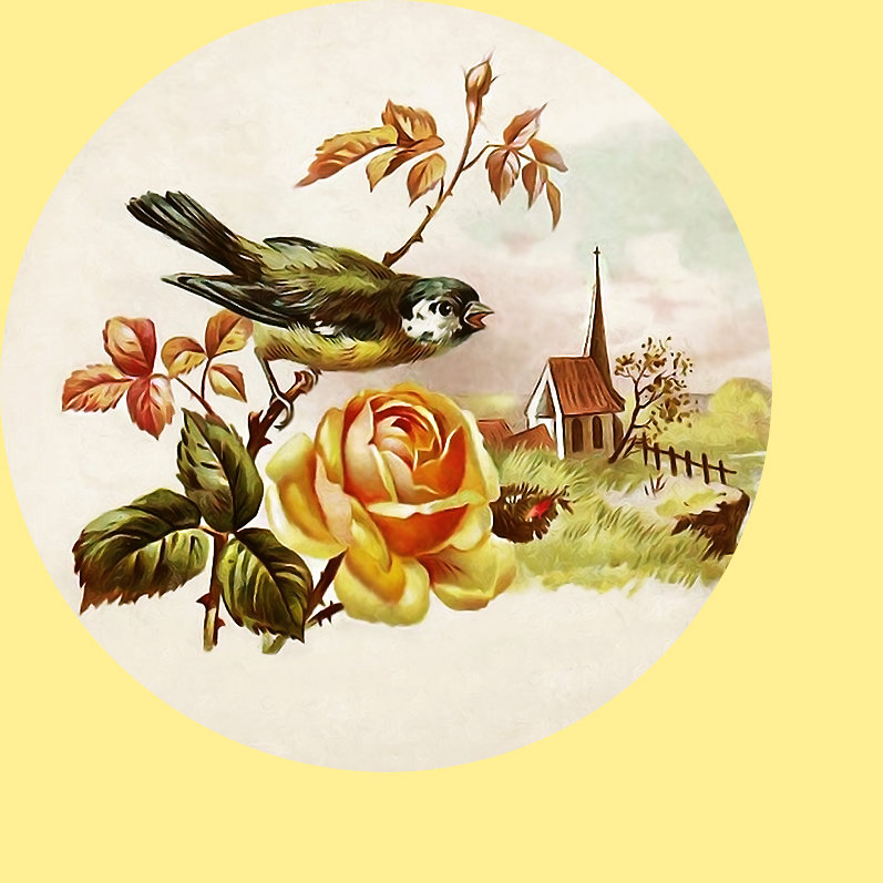 Серия "Птицы" - фауна, птицы - оригинал