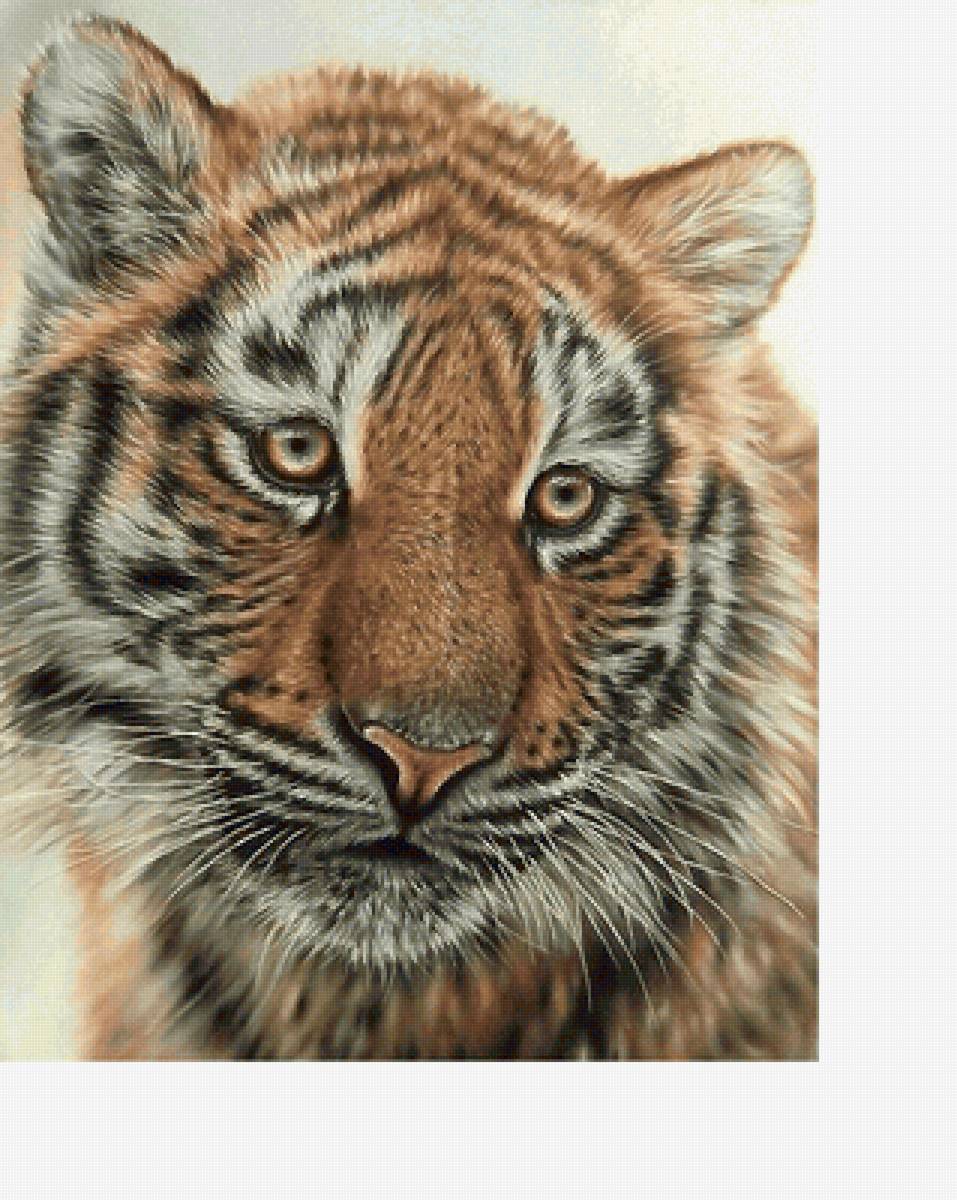 №2221909 - предпросмотр