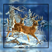 Схема вышивки «caprioara»