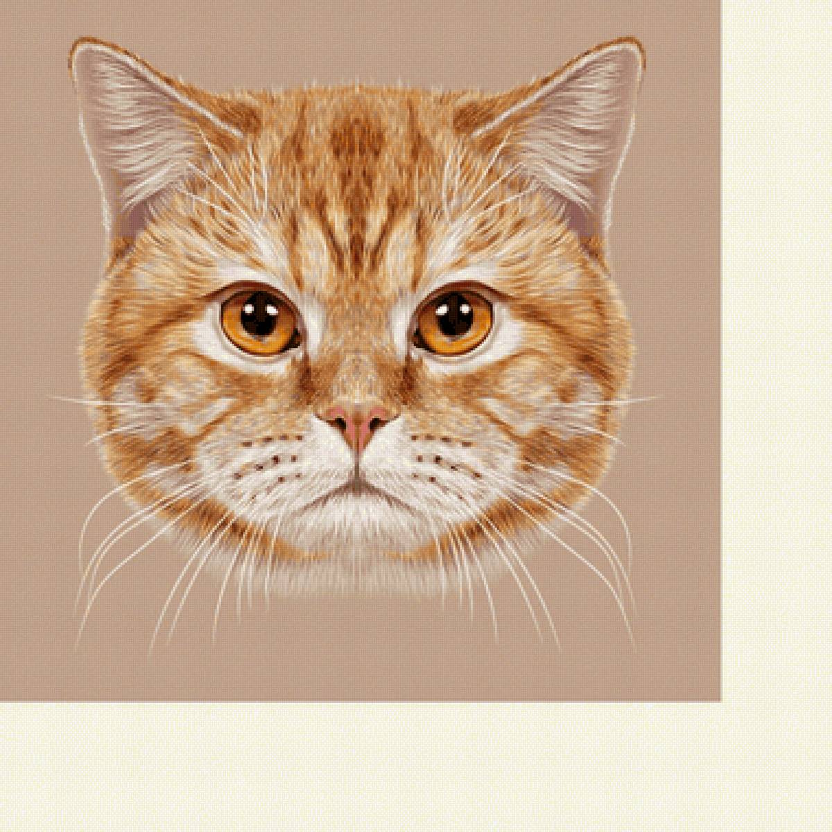 №2222750 - коты, животные - предпросмотр