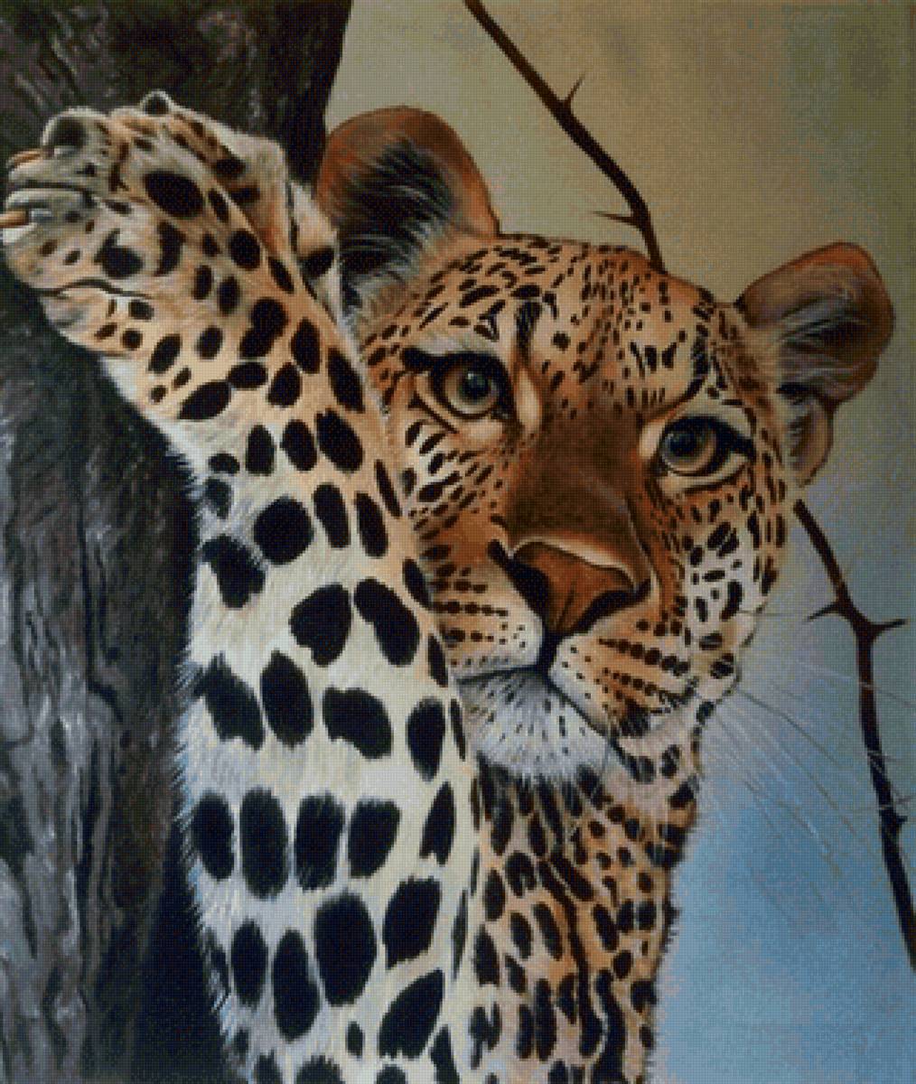 Tigre. - animais. - предпросмотр