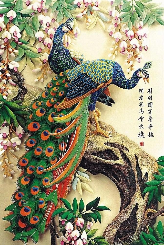 Павлины - природа, цветы, картина, павлины, птицы - оригинал