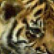 Предпросмотр схемы вышивки «Тигрица с малышом» (№2223662)