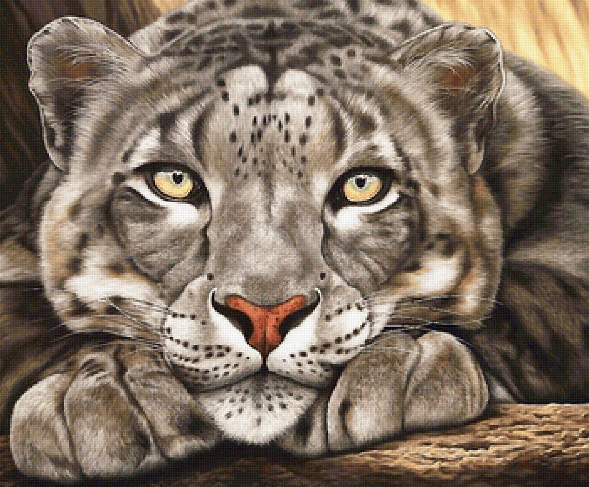 мир животных. - мир животных. - предпросмотр