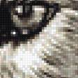 Предпросмотр схемы вышивки «волк» (№2223761)