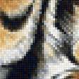 Предпросмотр схемы вышивки «тигры» (№2223768)