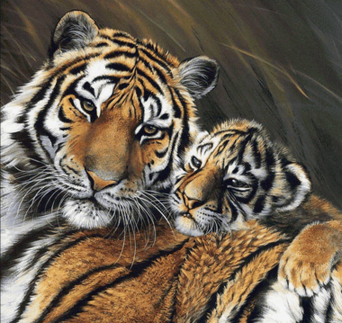 тигры - мир животных. - предпросмотр