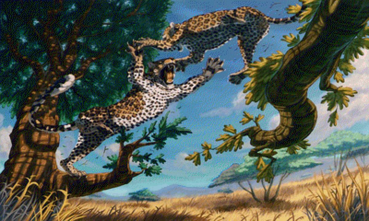 Бой - гепард, бой, пейзаж, животные, леопард - предпросмотр