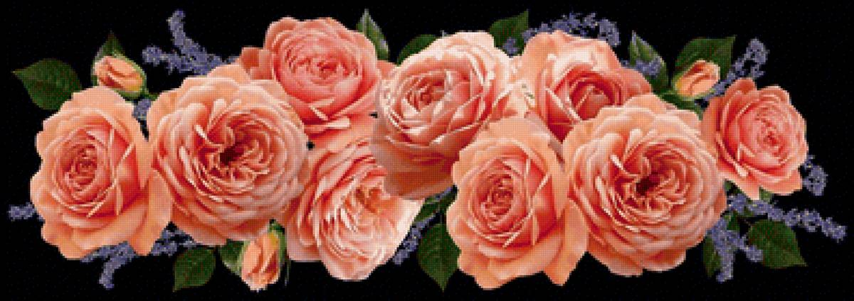 №2223960 - розы, цветы - предпросмотр