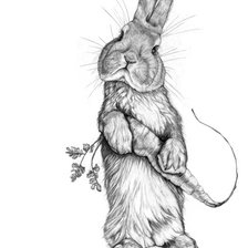 Оригинал схемы вышивки «Кролик с морковкой» (№2224204)