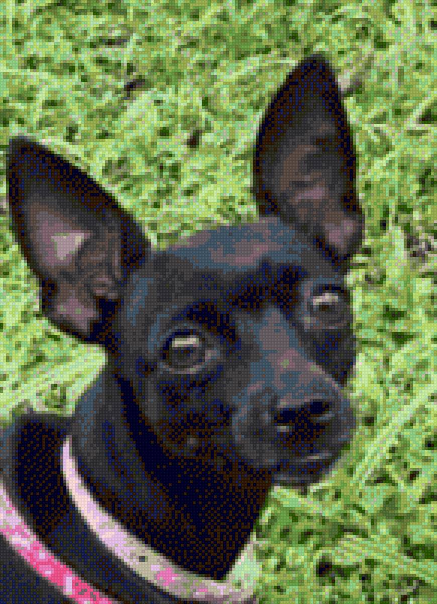 perrita - princesa - предпросмотр