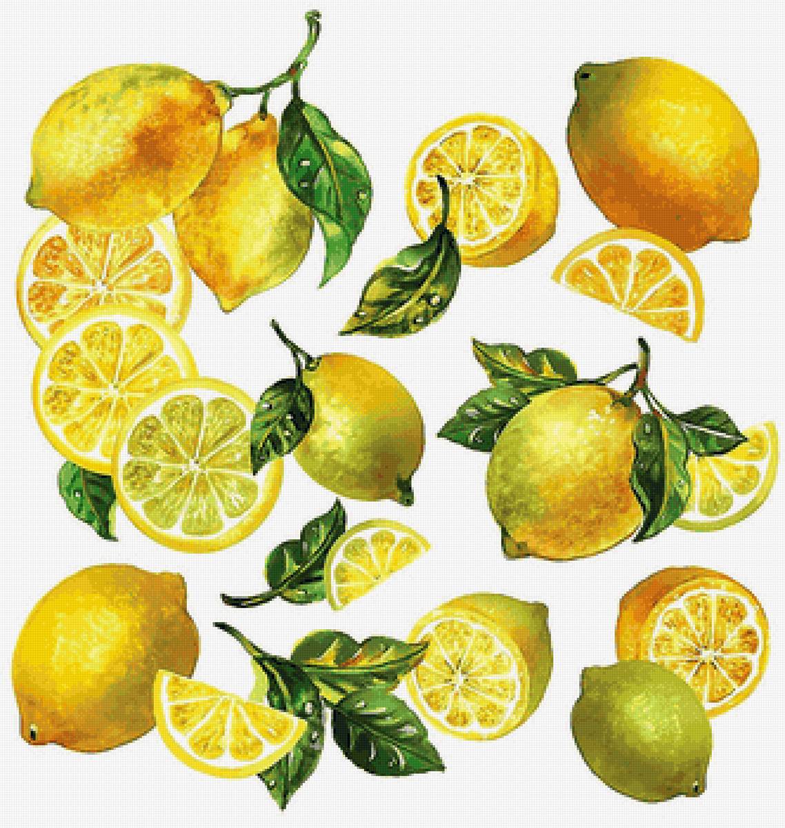 №2224501 - предпросмотр