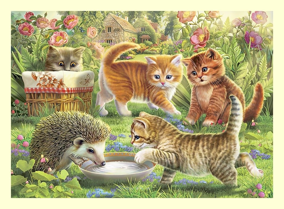 котики - коты, цветы, кот, животные - оригинал