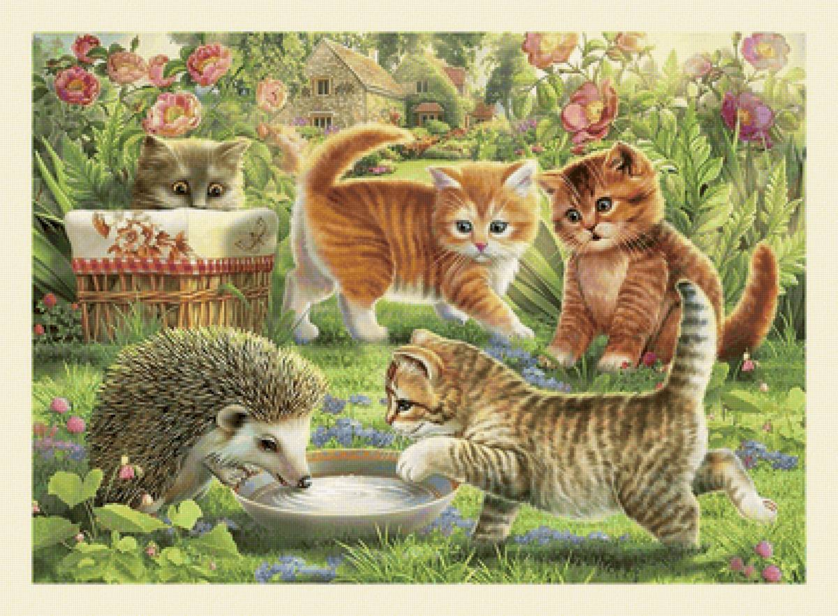 котики - коты, кот, цветы, животные - предпросмотр