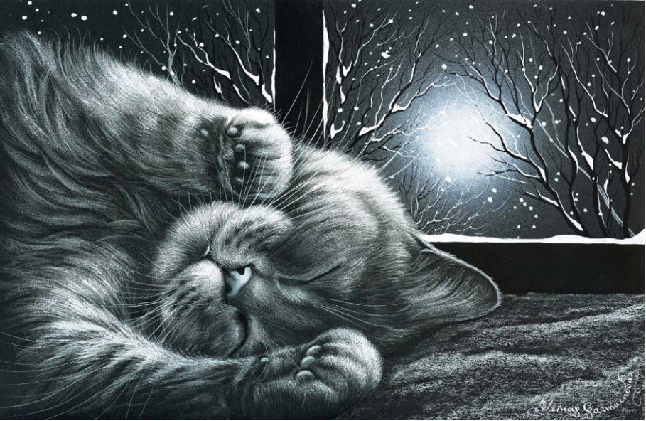 Котик  в ночь - монохром, ночь, луна, кот - оригинал