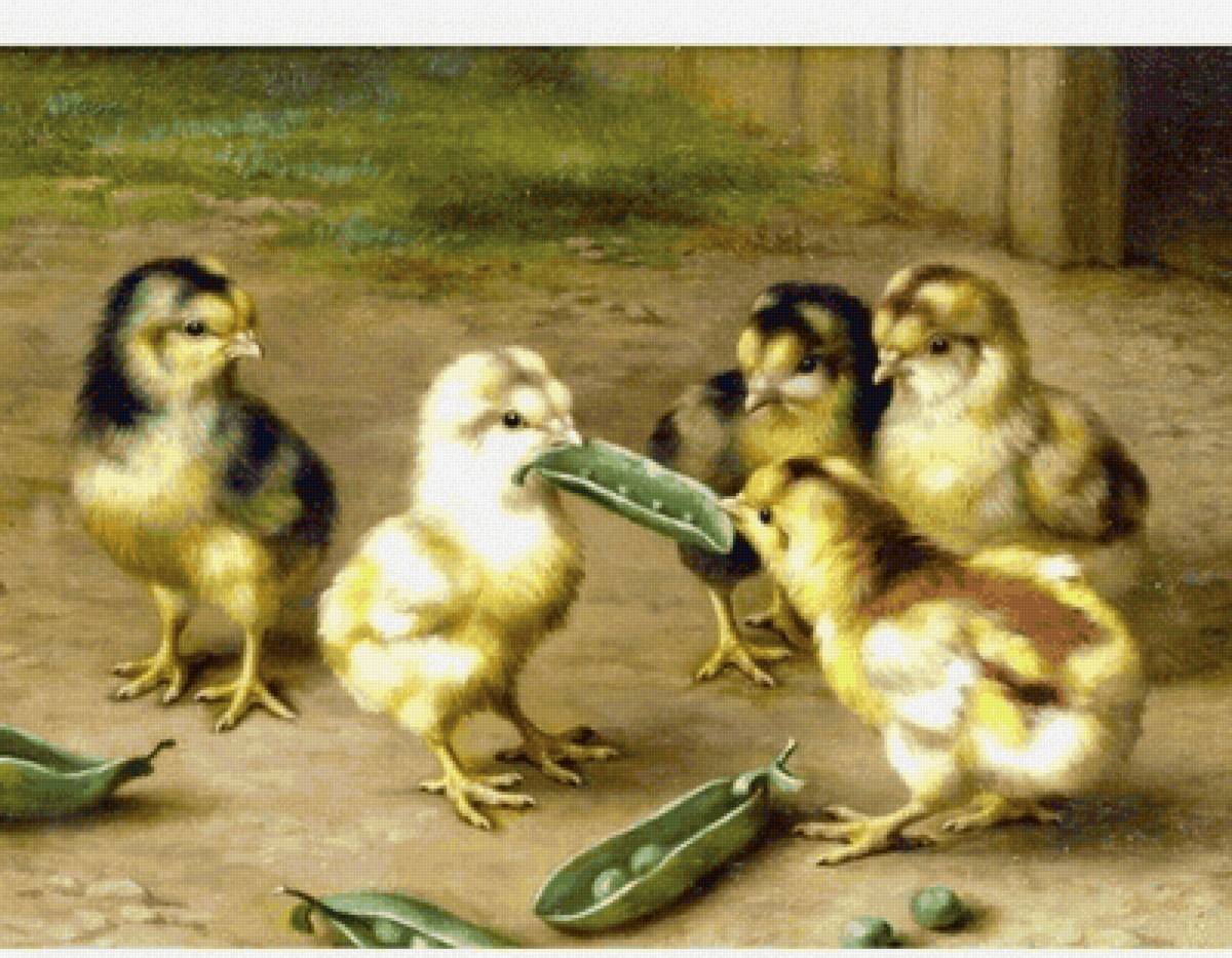 Горох - горох, цыплята, птицы - предпросмотр