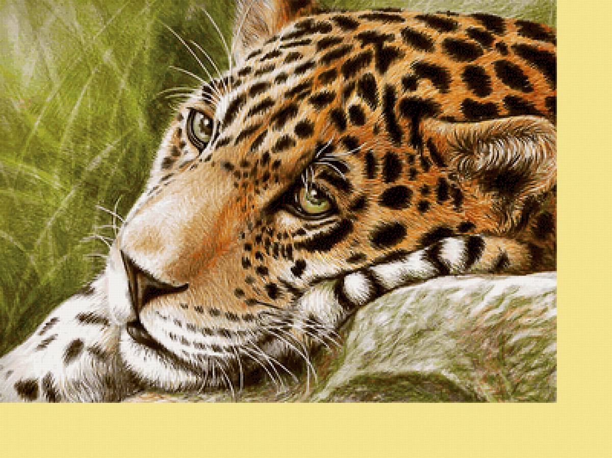 Серия "Хищники". - животные, хищники - предпросмотр