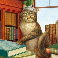 Схема вышивки «Gato brincando com livros.»