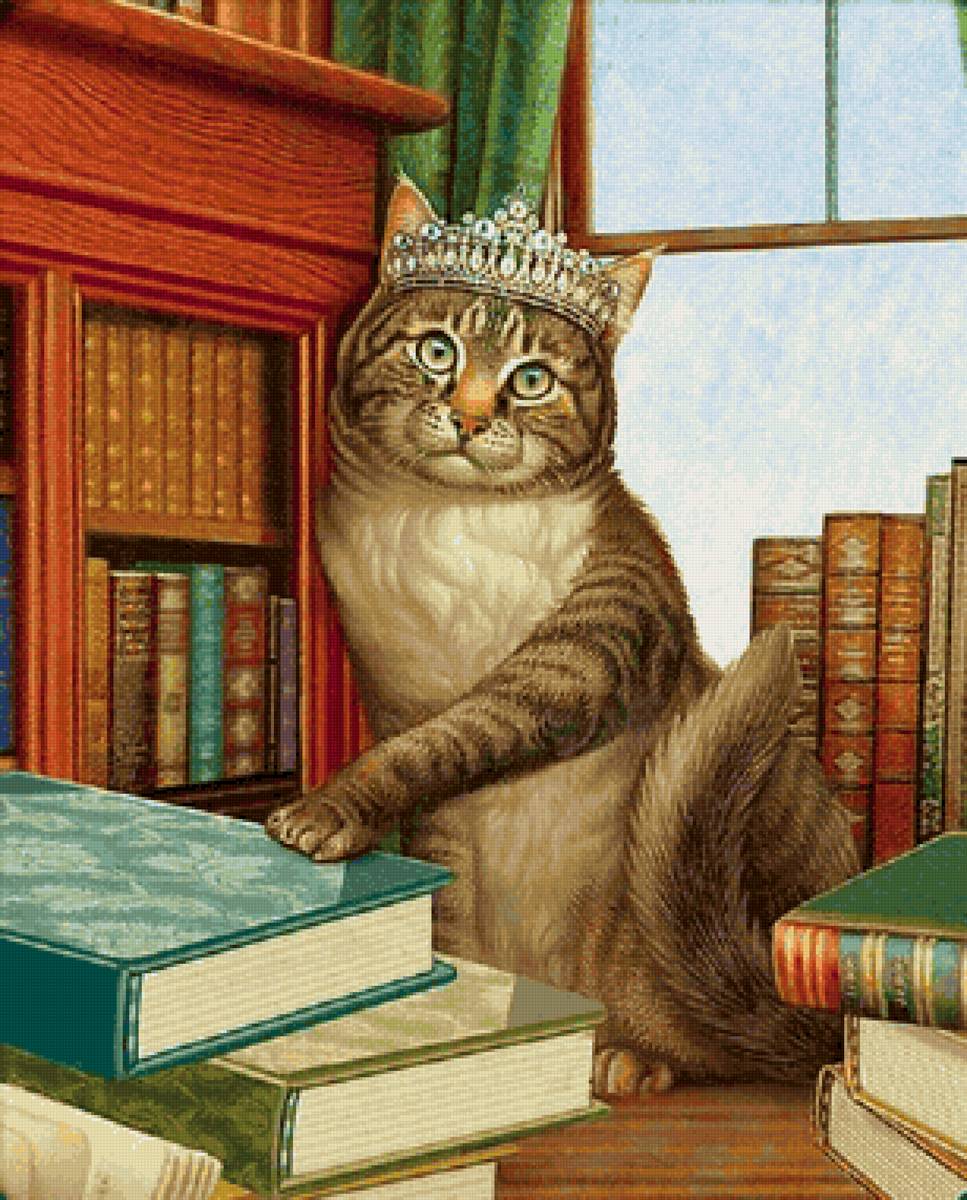 Gato brincando com livros. - livros., gato - предпросмотр