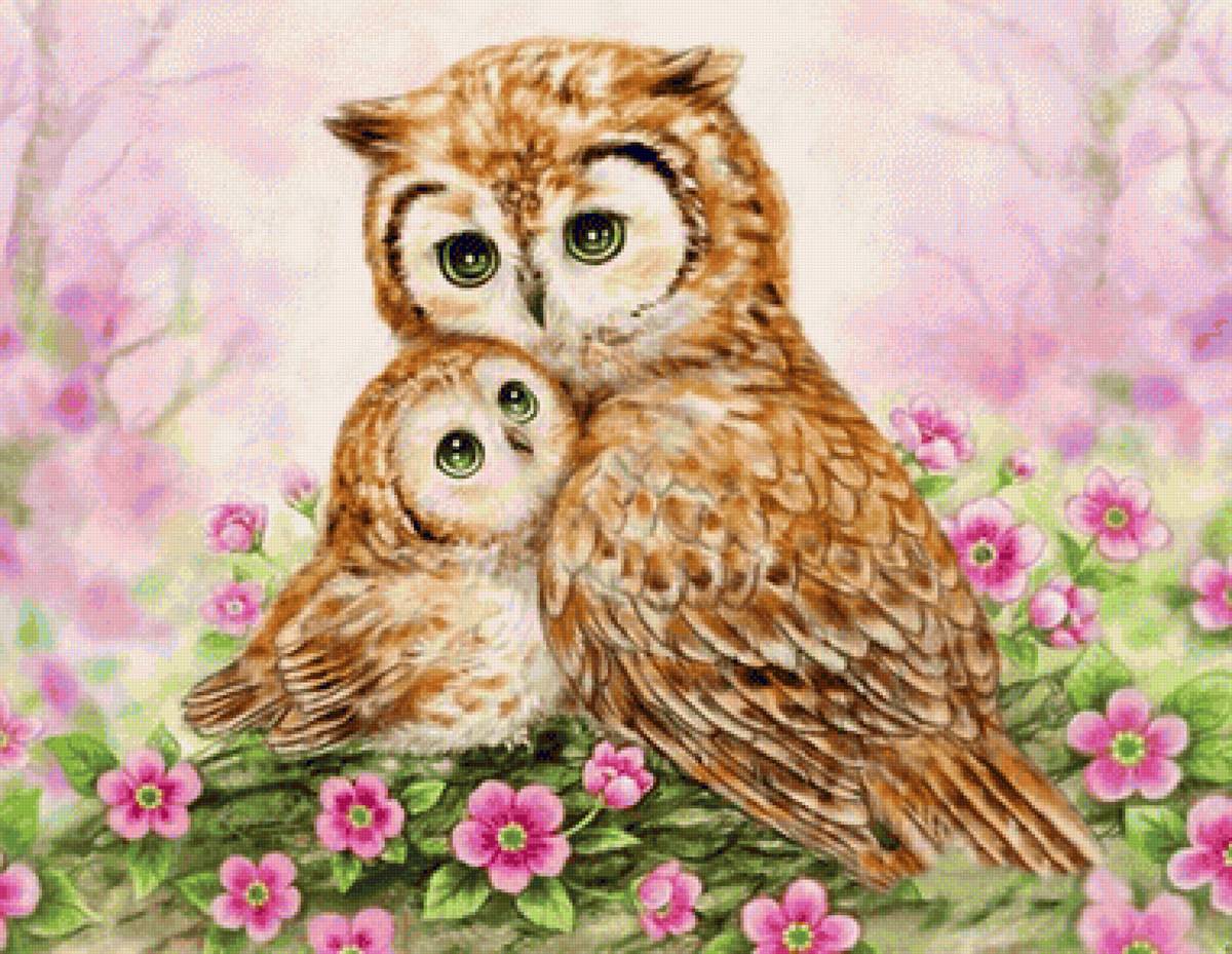 Corujas. - pássaro, flores .ilustração. - предпросмотр