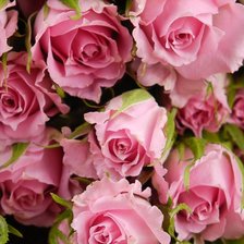 Схема вышивки «Цветы»