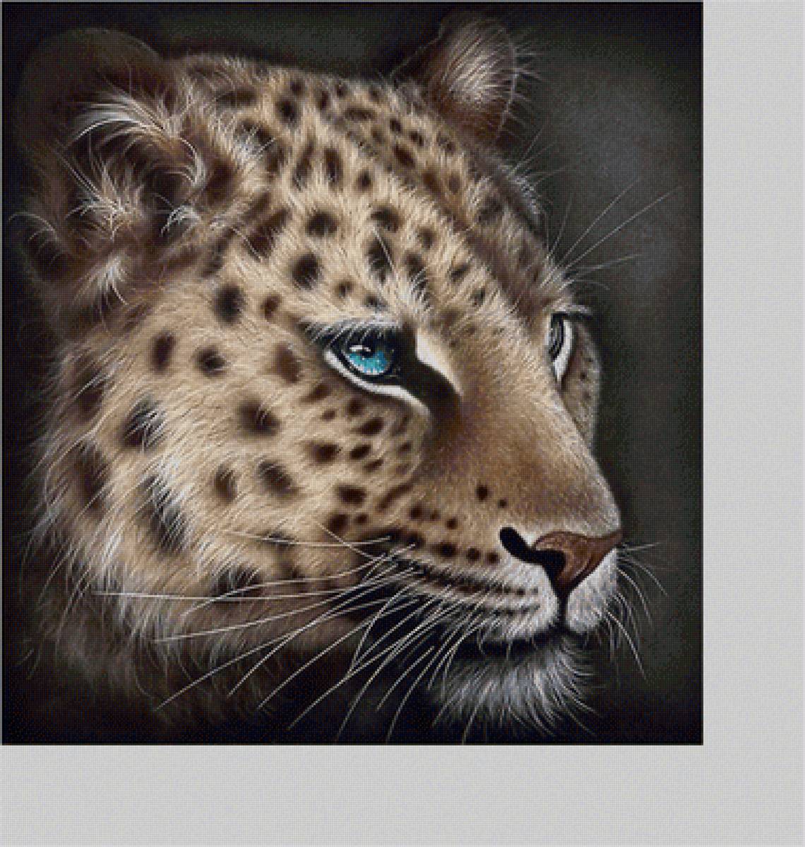 №2226056 - хищники, животные - предпросмотр