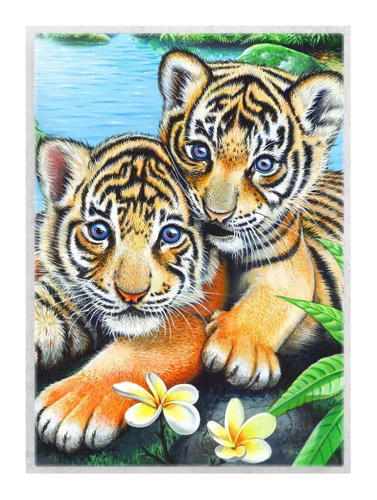 №2226058 - животные, хищники, тигры, тигр - оригинал